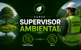 miniatura del curso