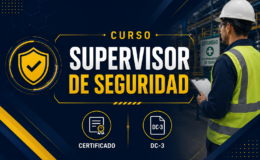 miniatura del curso